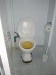 Uzun hatlı balıkçı gemisi satılık