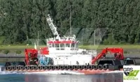 Çok amaçlı satılık