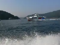 Feribot satılık