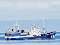 Trol gemisi satılık
