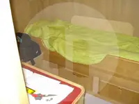 Trol gemisi satılık