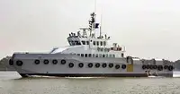 devriye botu satılık