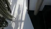 Trol gemisi satılık