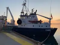 Yığın taşıyıcı satılık