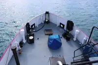 General Cargo/Multi-purpose satılık