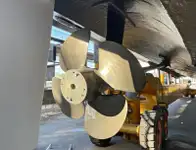 Kruvaziyer gemisi satılık