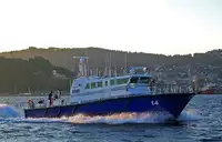 devriye botu satılık