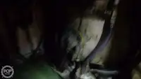 Trol gemisi satılık