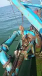 Dredger (Kazık çakma gemisi) satılık