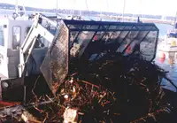 Gezi teknesi satılık