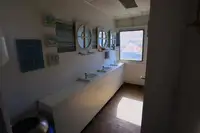Kruvaziyer gemisi satılık