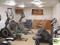 Konteyner gemisi satılık
