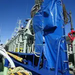 Purse seiner satılık