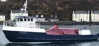 İş gemileri satılık