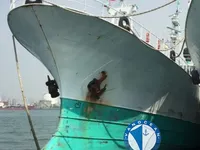 Uzun hatlı balıkçı gemisi satılık