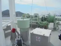 Devriye botu satılık
