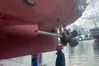 Feribot satılık