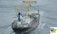 Yığın taşıyıcı satılık