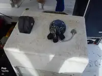 Trol gemisi satılık