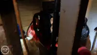 Trol gemisi satılık
