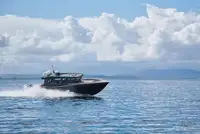 devriye botu satılık