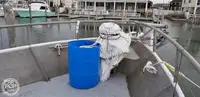 Trol gemisi satılık