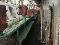Kalamar avlama gemisi satılık