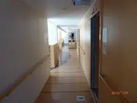 Feribot satılık