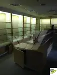 Kruvaziyer gemisi satılık