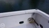 Dalgıç destek gemisi satılık