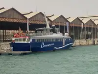 Kruvaziyer gemisi satılık