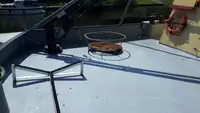 Trol gemisi satılık