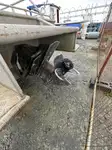 devriye botu satılık
