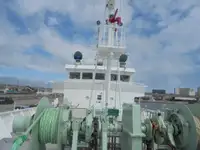 Devriye botu satılık