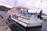 Feribot satılık