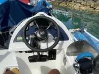 Kruvaziyer gemisi satılık