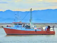 Trawler satılık