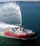 Dökme yük gemisi satılık