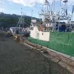 Trol gemisi satılık