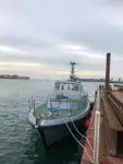 Anket gemisi satılık