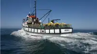 Trawler satılık