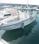 Kruvaziyer gemisi satılık