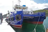 Kruvaziyer gemisi satılık