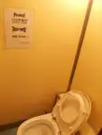 Yığın taşıyıcı satılık