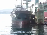 Dökme yük gemisi satılık