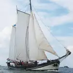 Yat satılık
