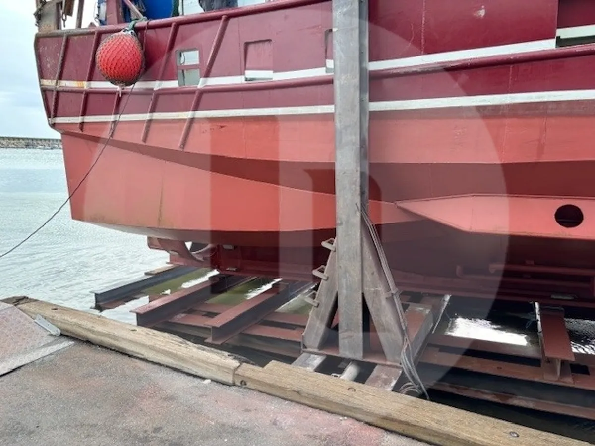 Canlı balık taşıma gemisi satılık