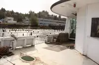 Feribot satılık