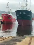 Trol gemisi satılık