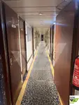 Kruvaziyer gemisi satılık